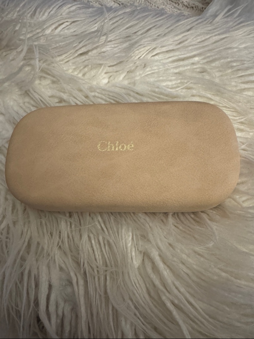 Chloe Suede Sunglasses Case in Light Beige